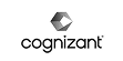 cogni.png